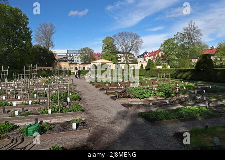 Der Linnaeus-Garten ist ein botanischer Garten in der Svartbäcksgatan in Uppsalsa, Schweden. Es ist nach Carl von Linné benannt, wurde aber bereits 1655 von Olof Rudbeck d.ä. Gegründet. Im Bild: Die Orangerie von Hårleman im Garten Linnaeus. Stockfoto