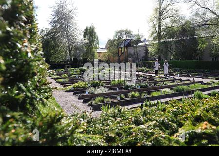 Der Linnaeus-Garten ist ein botanischer Garten in der Svartbäcksgatan in Uppsalsa, Schweden. Es ist nach Carl von Linné benannt, wurde aber bereits 1655 von Olof Rudbeck d.ä gegründet. Stockfoto