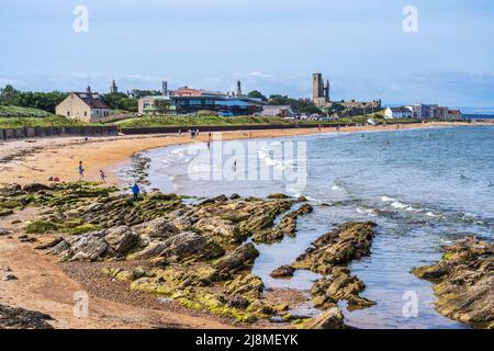 Felsvorsprung am East Sands Beach in St Andrews mit Ruinen der St Andrews Cathedral Beyond - Royal Burgh of St Andrews in Fife, Schottland, Großbritannien Stockfoto