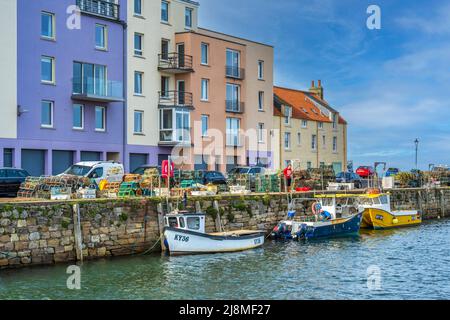 Farbenfrohe, moderne Apartments in Shorehead am Hafen von St Andrews im Royal Burgh of St Andrews in Fife, Schottland, Großbritannien Stockfoto