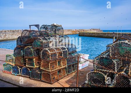 Hummertöpfe am Kai im Hafen von St Andrews im Royal Burgh of St Andrews in Fife, Schottland, Großbritannien Stockfoto