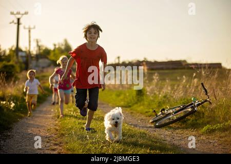 Glückliche Gruppe von Kindern und Haustier Hund, maltesische Rasse, läuft im Park bei Sonnenuntergang, unbeschwerte Kindheit aus der Stadt Stockfoto