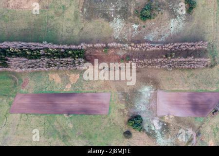 Landschaft im Komitat WeGrow in der Woiwodschaft Masowien in Polen Stockfoto