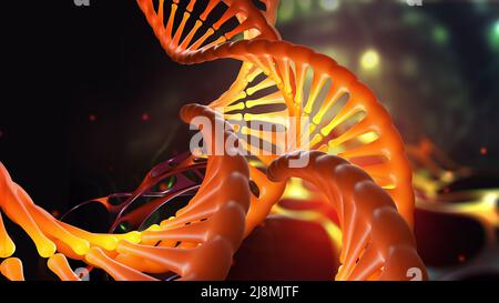 DNA-Molekül, menschliches Genom, wissenschaftliche Forschung, Gencode. 3D Illustration einer DNA-Helix unter dem Mikroskop Stockfoto