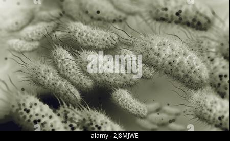 Escherichia coli, Bakterienkolonie 3D Abbildung. Mikroorganismen in aquatischer Umgebung unter dem Mikroskop. Probiotika. Darmbakterien Stockfoto