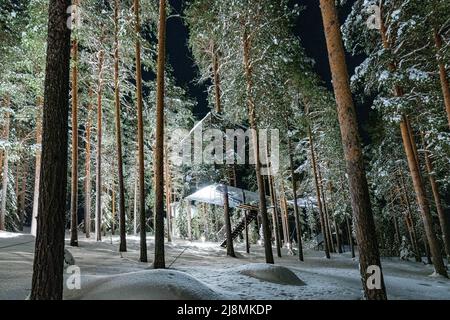 Würfelförmiger Raum auf verschneiten Bäumen mit Spiegelwänden, die die Schönheit des Waldes widerspiegeln, Tree Hotel, Harads, Lappland, Schweden Stockfoto