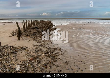 Holzpfosten am Strand an der Nordsee Stockfoto