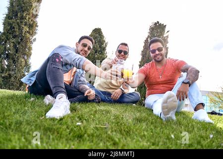 Drei Freunde sitzen auf dem Gras, trinken und toasten, während sie an einem sonnigen Tag die Kamera betrachten. Hochwertige Fotos Stockfoto