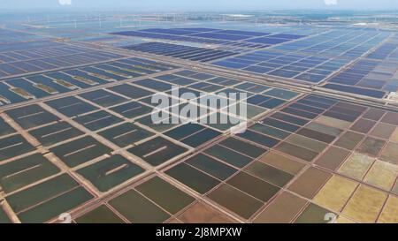 (220517) -- ZHANHUA, 17. Mai 2022 (Xinhua) -- das Foto vom 14. Mai 2022 zeigt Salzfelder in der Gemeinde Binhai, Bezirk Zhanhua, Stadt Binzhou in der ostchinesischen Provinz Shandong. (Xinhua/Fan Changguo) Stockfoto