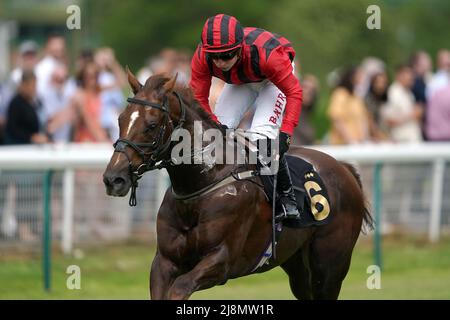 King of Jungle unter Jockey Tom Marquand gewinnt das Follow @Racingtv auf Twitter Handicap auf der Rennbahn von Nottingham. Bilddatum: Dienstag, 17. Mai 2022. Stockfoto