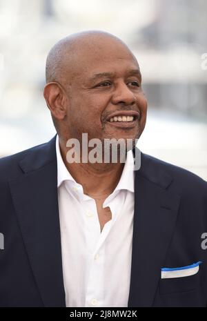 Forest Whitaker nimmt an der Honorary Palme d'Or Fotoschau während der Filmfestspiele von Cannes 75. in Cannes, Frankreich, Teil. Bilddatum: Dienstag, 17. Mai 2022. Stockfoto