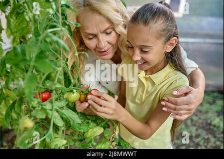 Frau umarmt Mädchen bewundernd wachsenden Tomaten Stockfoto