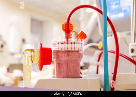 Das Blut des Patienten wird in den Filter des Hämodialysegeräts eingespeist Stockfoto