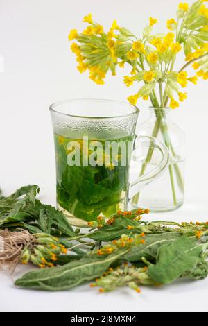 Glas Kuhslip, Primula veris, Tee und frische und getrocknete Kuhslip-Pflanze. Stockfoto