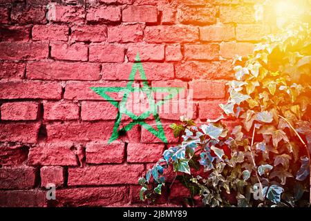 Morocco grunge flag on brick wall with ivy plant sun haze view, country symbol concept Stockfoto