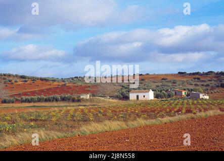 Landschaft. Campo de Montiel, Provinz Ciudad Real, Castilla La Mancha, Spanien. Stockfoto