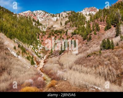 Ein Bach fließt von der Spitze des Berges und schlängelt sich durch eine schmale Schlucht und durch Espen- und Tannenbäume entlang in Colorado. Stockfoto