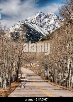 Auf dem Weg zu den Maroon Bells in Colorado schlängelt sich eine Straße durch Haine aus Espenbäumen. Stockfoto