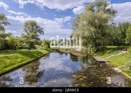 Wasserkanal in Kepa Potocka grün, Freizeit-und Erholungsgebiet in Warschau Bezirken Zoliborz und Bielany, Polen Stockfoto