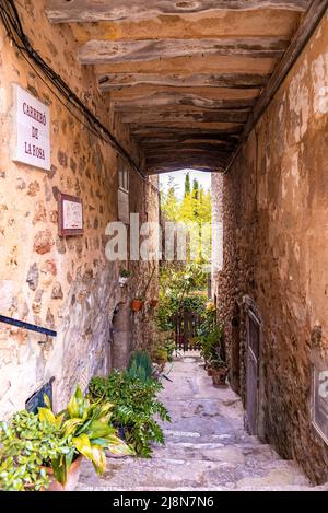 Überdachte Gasse mit Schildern und Topfpflanzen inmitten von Mauern in der Altstadt Stockfoto