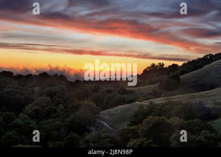 Dramatischer Sonnenuntergang über den Santa Cruz Bergen über dem Russian Ridge Preserve in San Mateo County, Kalifornien, USA. Stockfoto