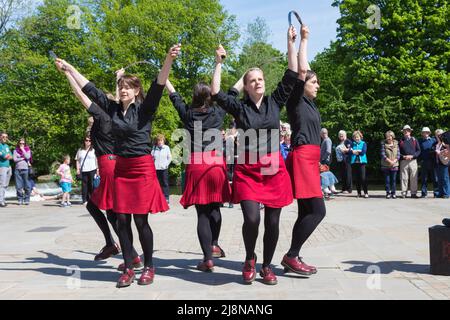 Gaorsach Rapper und Step bei Bakewell Stockfoto