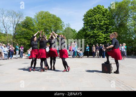 Gaorsach Rapper und Step bei Bakewell Stockfoto