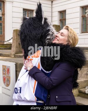 Schwerin, Deutschland. 17.. Mai 2022. Manuela Schwesig (SPD), die Ministerpräsidentin von Mecklenburg-Vorpommern, wird beim Empfang der Basketballmannschaft der Rostock Seawolves von Maskottchen Wolfi begrüßt. Mit dem Eintritt in das Playoff-Finale der 2. liga-ProA hatte der Mecklenburger Korbjäger in der vergangenen Woche die erstmalige Beförderung ins deutsche Basketball-Oberhaus perfekt gemacht. Quelle: Jens Büttner/dpa/Alamy Live News Stockfoto