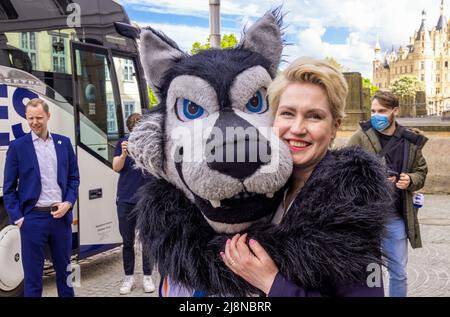 Schwerin, Deutschland. 17.. Mai 2022. Manuela Schwesig (SPD), die Ministerpräsidentin von Mecklenburg-Vorpommern, wird beim Empfang der Basketballmannschaft der Rostock Seawolves von Maskottchen Wolfi begrüßt. Mit dem Eintritt in das Playoff-Finale der 2. liga-ProA hatte der Mecklenburger Korbjäger in der vergangenen Woche die erstmalige Beförderung ins deutsche Basketball-Oberhaus perfekt gemacht. Quelle: Jens Büttner/dpa/Alamy Live News Stockfoto