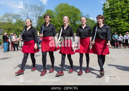 Gaorsach Rapper und Step bei Bakewell Stockfoto