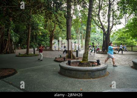 Am frühen Morgen trainieren Sie das chinesische Tai Chi an einem schattigen Platz im Botanischen Garten von Singapur. Tai Chi ist eine beliebte chinesische Kampfkunsttechnik, die Bo verwendet wird Stockfoto