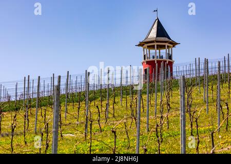 Der runde Burgunderturm ist ein Aussichtsturm, umgeben von Weinbergen in Rheinland-Pfalz Stockfoto