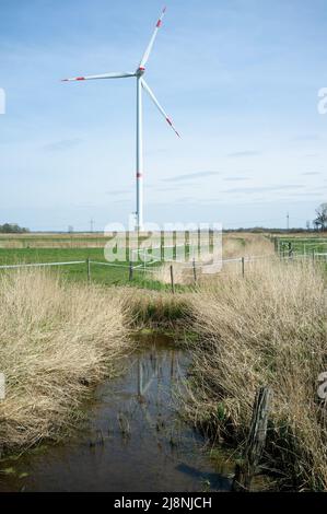 Windturbine in einem durch einen mit Wasser gefüllten Graben geteilten Feld auf dem Land. Konzept für saubere Energie. Stockfoto