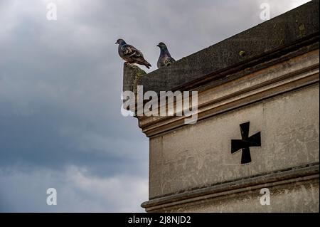 Tauben, die auf einer Grabkrypte ruhen. Friedhof von Monparnasse. Paris, Frankreich. 04/2009 Stockfoto