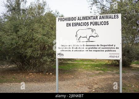 Schild Verbotene Verfütterung von Wildtieren, Wildschweinen, auf Spanisch, Andalusien, Spanien. Stockfoto