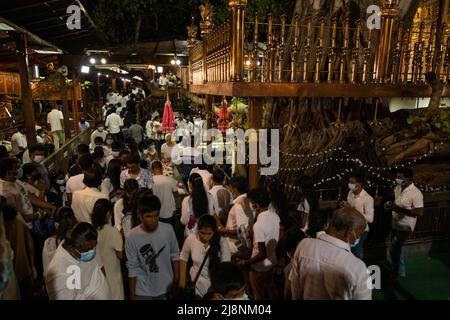 Colombo, Sri Lanka. 15.. Mai 2022. Buddhistische Anhänger beten in einem Tempel während des Vesak-Tages in colombo, einem Fest, das auch als jährliches buddhistisches Vesak-Fest in Colombo am 15 2022. Mai bekannt ist. - Sri-lankische Buddhisten bereiten sich auf die Feier des Vesak vor, der an die Geburt Buddhas, seine Erlangung der Erleuchtung und sein Tod am Vollmondtag Mai erinnert, der dieses Jahr auf den 15. Mai fällt. (Foto von Vimukthy Embuldeniya/Pacific Press/Sipa USA) Quelle: SIPA USA/Alamy Live News Stockfoto