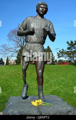 Kanadas Held, die Terry Fox-Statue in Victoria BC, Kanada Stockfoto