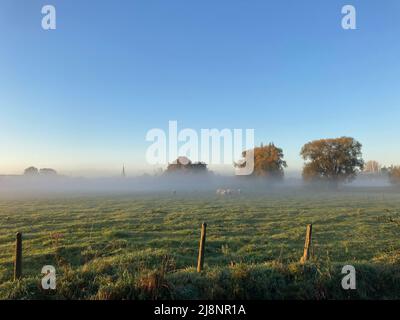 Ländliche Landschaft mit dem frühen Morgennebel, der sich über der Wiese bildet Stockfoto