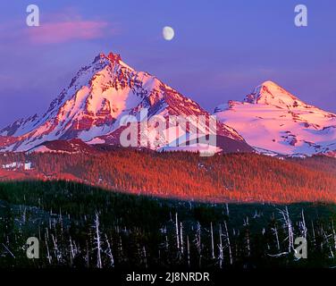 North Sister und Middle Sister aus McKenzie Pass, Cascade Range, Oregon Stockfoto