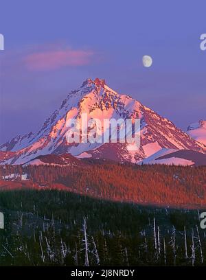 North Schwester aus McKenzie Pass, Cascade Range, Oregon Stockfoto