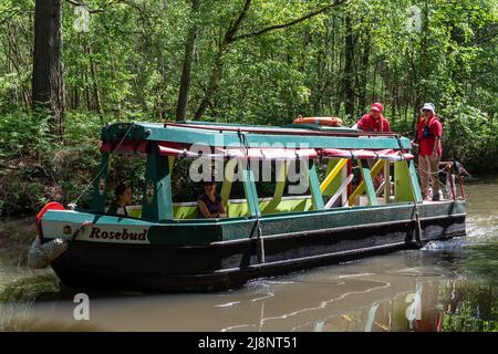 Kanalboote auf dem Basingstoke Canal bei Mytchett, Teil der Surrey Heath Show, die von der Basingstoke Canal Society, Mai 2022, durchgeführt wird Stockfoto