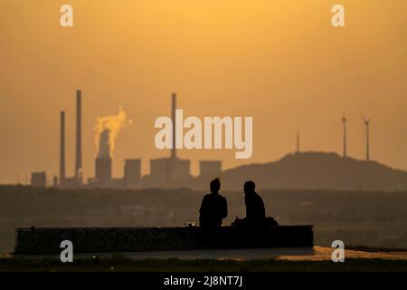 Abendstimmung auf dem Hoheward-Schlammhaufen, dem größten Abraumhaufen im Ruhrgebiet, zwischen Herten und Recklinghausen, mit der Scholven-Power-st Stockfoto