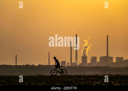 Abendstimmung auf dem Hoheward-Schlammhaufen, dem größten Abraumhaufen im Ruhrgebiet, zwischen Herten und Recklinghausen, mit der Scholven-Power-st Stockfoto