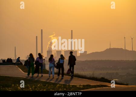 Abendstimmung auf dem Hoheward-Schlammhaufen, dem größten Abraumhaufen im Ruhrgebiet, zwischen Herten und Recklinghausen, mit der Scholven-Power-st Stockfoto