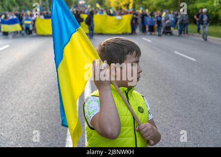 Sofia, Bulgarien - 09. Mai 2022: Ein Kind mit ukrainischer Flagge in den Händen steht vor einer Reihe von Menschen, die mit einer riesigen Flagge der Ukraine in die Stadt gehen Stockfoto