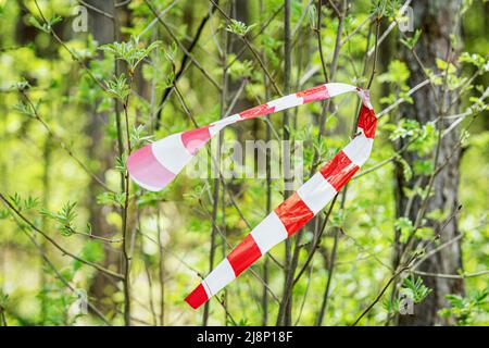 Rot-weißes Sperrband auf natürlichem grünen Hintergrund auf Zweig im Park. Sperrband stoppen Stockfoto