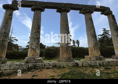Die pfälzischen Tafeln sind die Überreste des griechischen Tempels, der der Göttin Hera im archäologischen Park von Metaponto in Basilicata (Italien) gewidmet ist. Stockfoto