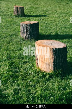 Baumstämme aus Holz isoliert auf üppigem Gras. Hochwertige Fotos Stockfoto