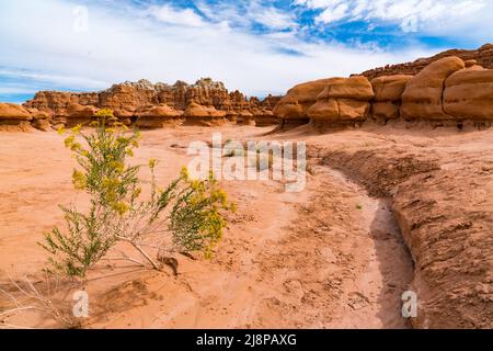 Fantastische Hoodoo Rock Formationen im Goblin Valley State Park in Utah Stockfoto