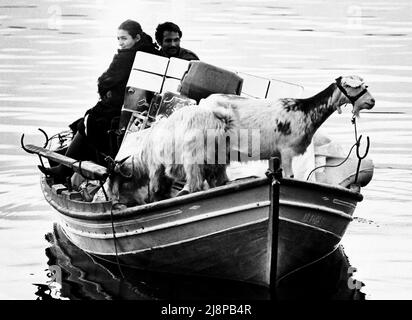 AJAXNETPHOTO. 1976. MELINA (MILINA), GRIECHENLAND. - ZIEGE EIN BOOT? - ZIEGEN UND BOOTE. DIESES PAAR - MUTTER TRÄGT EIN BABY UND TOCHTER VERSTECKT SICH HINTER DOSEN - HAT ALLE IHRE HABSELIGKEITEN AUF EINER REISE IN EIN NEUES ZUHAUSE ÜBER 5 MEILEN WASSER GEBRACHT. FOTO: JONATHAN EASTLAND/AJAXREF:761511 1 26 Stockfoto